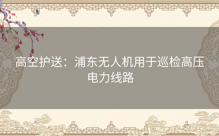 高空护送：浦东无人机用于巡检高压电力线路
