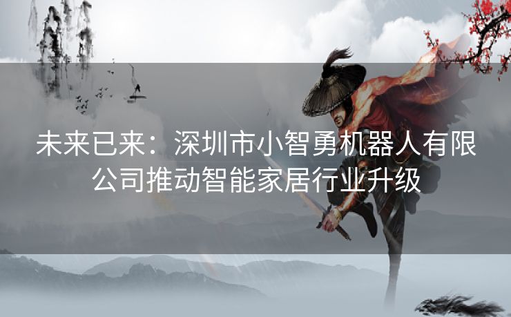 未来已来：深圳市小智勇机器人有限公司推动智能家居行业升级