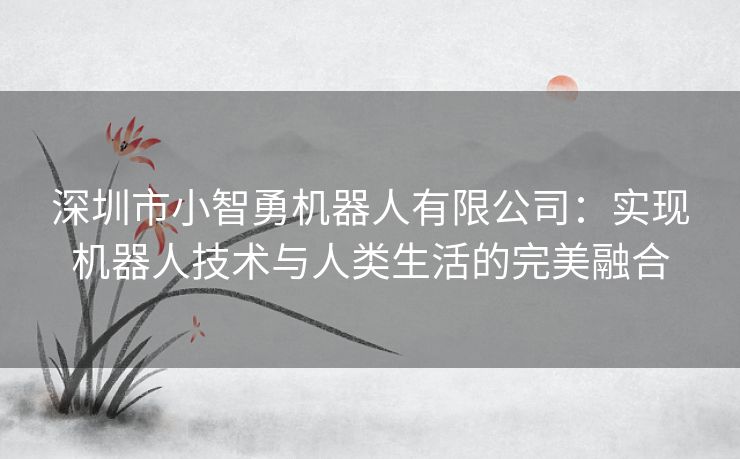 深圳市小智勇机器人有限公司：实现机器人技术与人类生活的完美融合