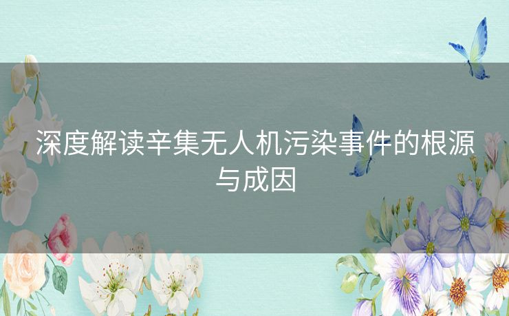 深度解读辛集无人机污染事件的根源与成因