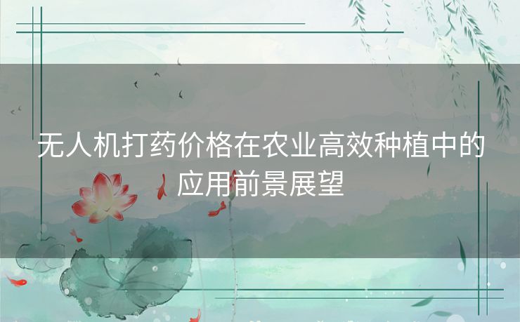 无人机打药价格在农业高效种植中的应用前景展望