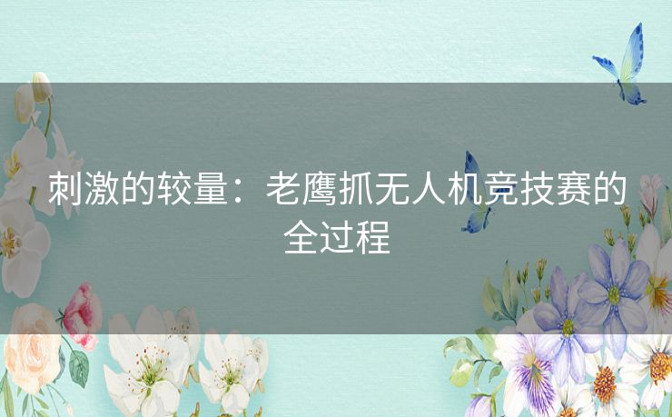 刺激的较量：老鹰抓无人机竞技赛的全过程