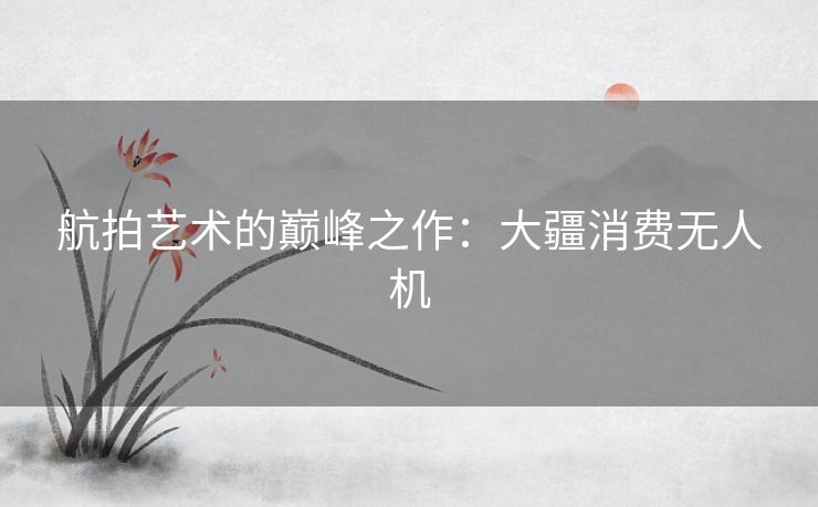 航拍艺术的巅峰之作：大疆消费无人机
