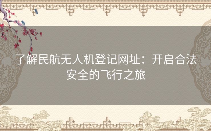 了解民航无人机登记网址：开启合法安全的飞行之旅