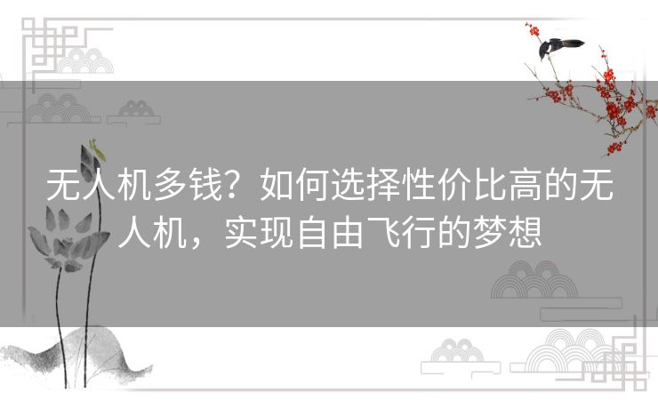 无人机多钱？如何选择性价比高的无人机，实现自由飞行的梦想