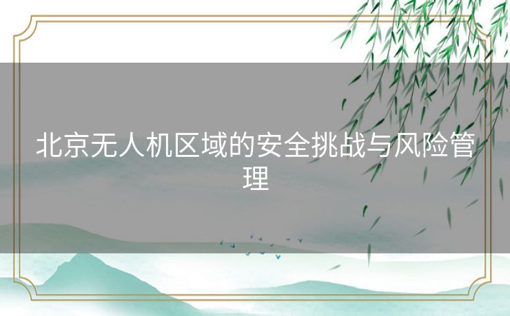 北京无人机区域的安全挑战与风险管理