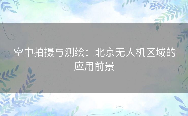 空中拍摄与测绘：北京无人机区域的应用前景