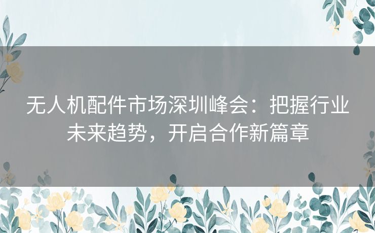 无人机配件市场深圳峰会：把握行业未来趋势，开启合作新篇章