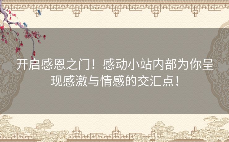 开启感恩之门！感动小站内部为你呈现感激与情感的交汇点！