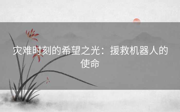 灾难时刻的希望之光：援救机器人的使命