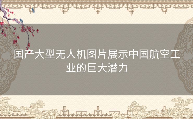 国产大型无人机图片展示中国航空工业的巨大潜力