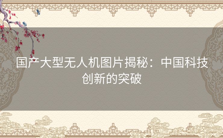 国产大型无人机图片揭秘：中国科技创新的突破