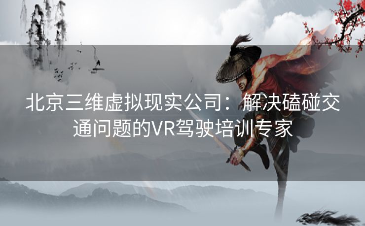 北京三维虚拟现实公司：解决磕碰交通问题的VR驾驶培训专家