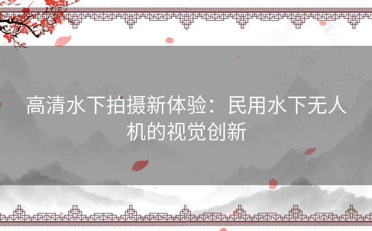 高清水下拍摄新体验：民用水下无人机的视觉创新