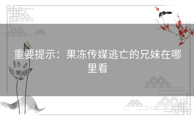重要提示：果冻传媒逃亡的兄妹在哪里看