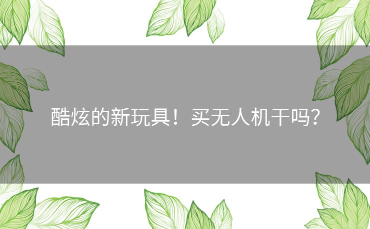 酷炫的新玩具！买无人机干吗？