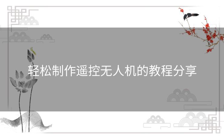 轻松制作遥控无人机的教程分享