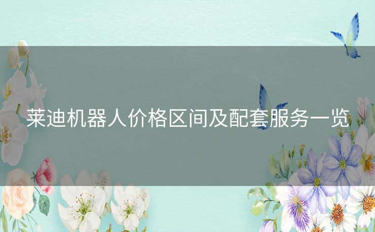 莱迪机器人价格区间及配套服务一览