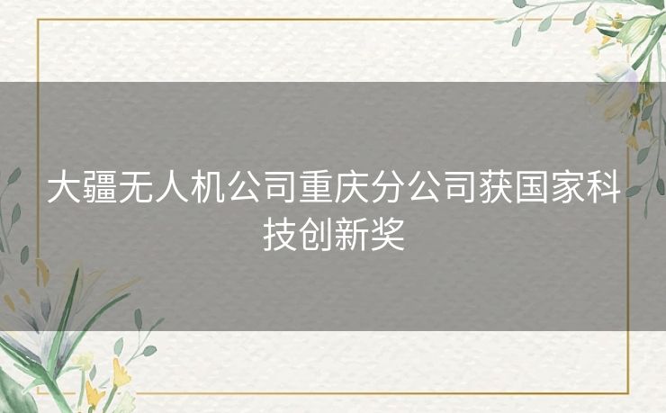 大疆无人机公司重庆分公司获国家科技创新奖