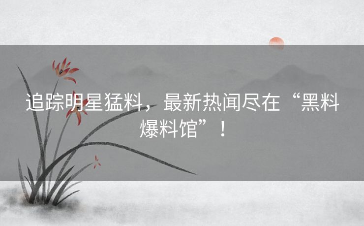 追踪明星猛料，最新热闻尽在“黑料爆料馆”！
