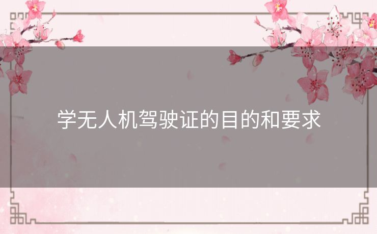 学无人机驾驶证的目的和要求
