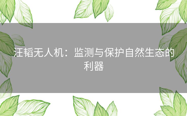 汪韬无人机：监测与保护自然生态的利器