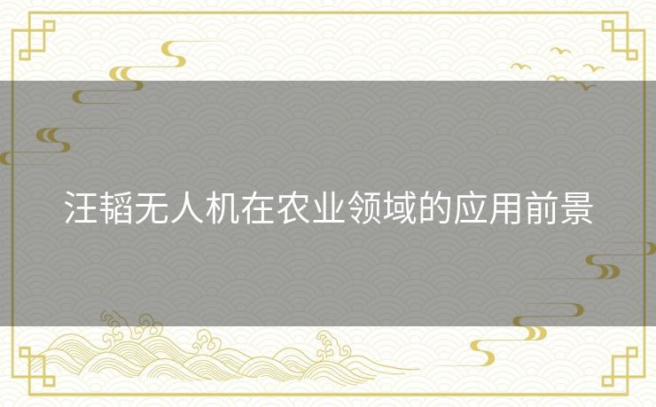 汪韬无人机在农业领域的应用前景