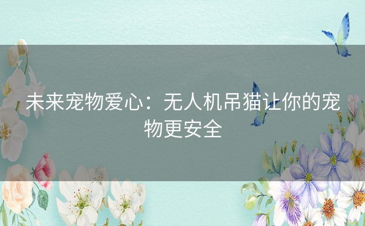 未来宠物爱心：无人机吊猫让你的宠物更安全