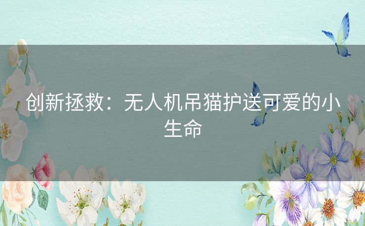 创新拯救：无人机吊猫护送可爱的小生命