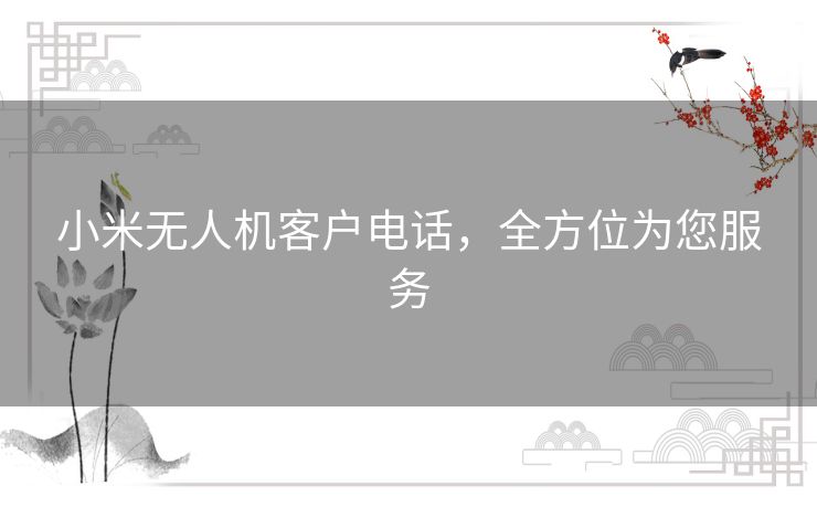 小米无人机客户电话，全方位为您服务