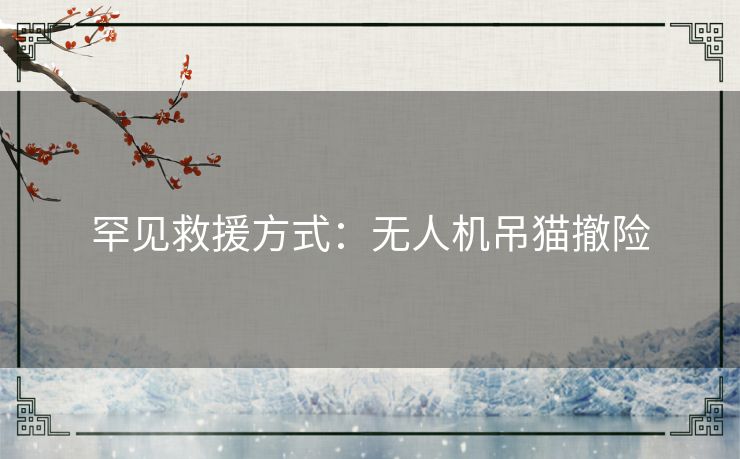 罕见救援方式：无人机吊猫撤险