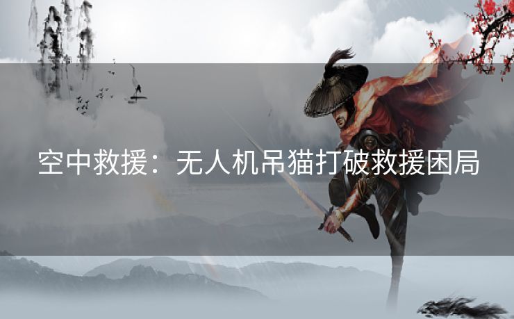 空中救援：无人机吊猫打破救援困局