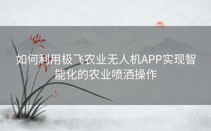 如何利用极飞农业无人机APP实现智能化的农业喷洒操作