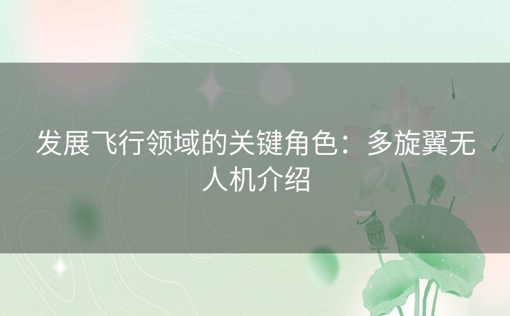 发展飞行领域的关键角色：多旋翼无人机介绍