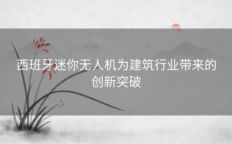 西班牙迷你无人机为建筑行业带来的创新突破
