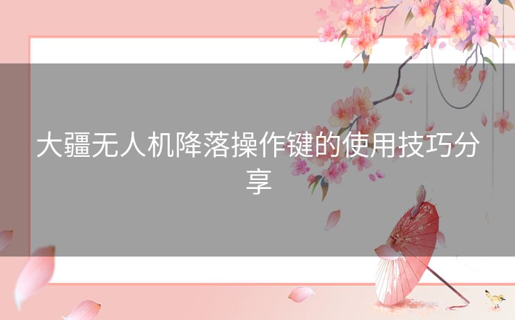 大疆无人机降落操作键的使用技巧分享