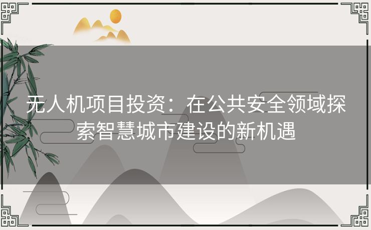 无人机项目投资：在公共安全领域探索智慧城市建设的新机遇