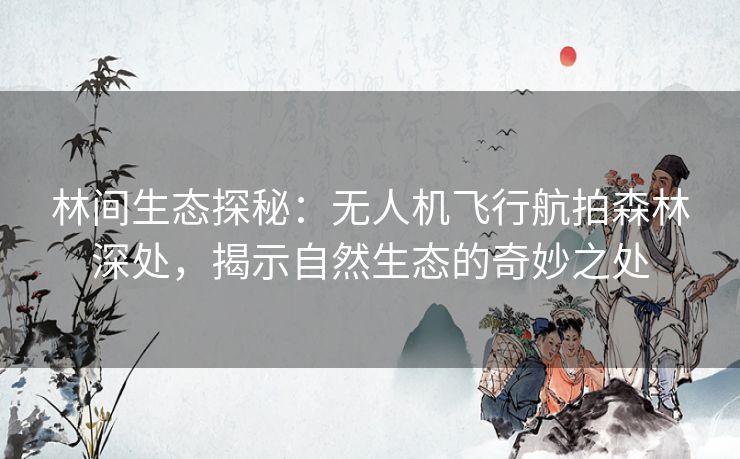 林间生态探秘：无人机飞行航拍森林深处，揭示自然生态的奇妙之处