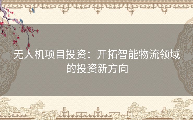 无人机项目投资：开拓智能物流领域的投资新方向