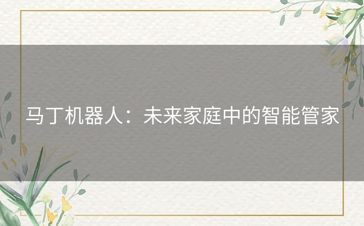 马丁机器人：未来家庭中的智能管家