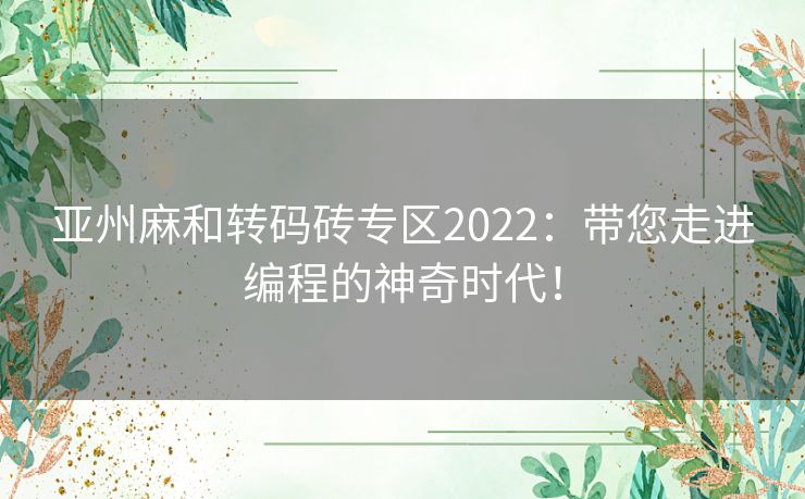 亚州麻和转码砖专区2022：带您走进编程的神奇时代！