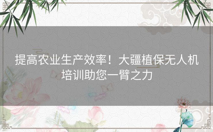 提高农业生产效率！大疆植保无人机培训助您一臂之力