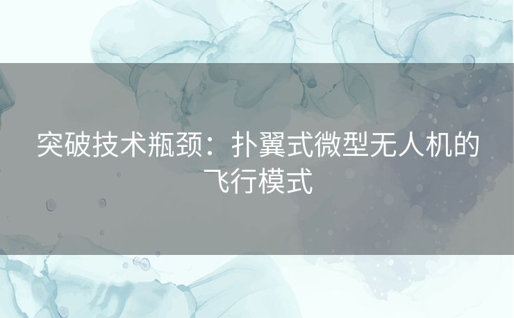 突破技术瓶颈：扑翼式微型无人机的飞行模式