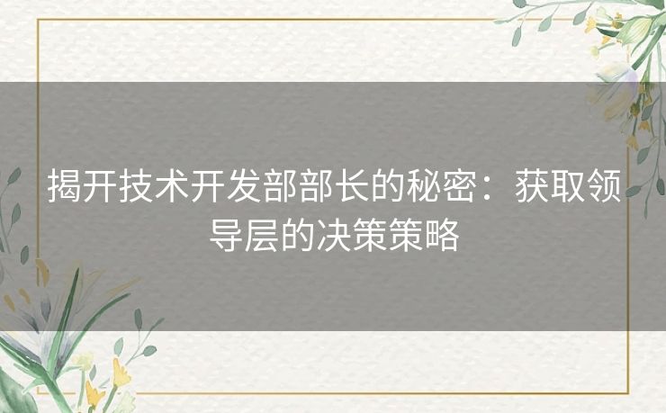 揭开技术开发部部长的秘密：获取领导层的决策策略
