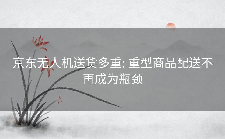 京东无人机送货多重: 重型商品配送不再成为瓶颈