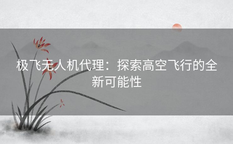 极飞无人机代理：探索高空飞行的全新可能性