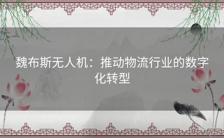 魏布斯无人机：推动物流行业的数字化转型
