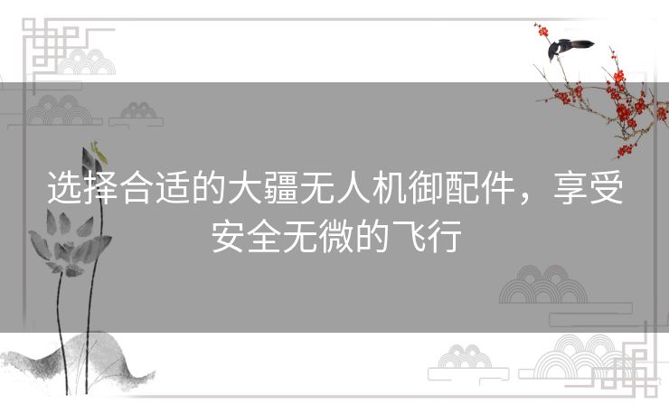 选择合适的大疆无人机御配件，享受安全无微的飞行
