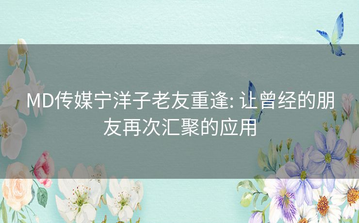 MD传媒宁洋子老友重逢: 让曾经的朋友再次汇聚的应用