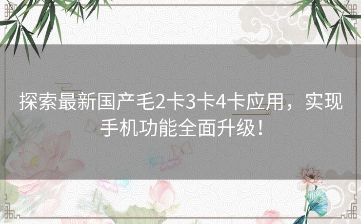 探索最新国产毛2卡3卡4卡应用，实现手机功能全面升级！